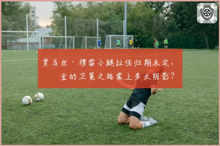 贾马尔·穆雷小腿拉伤归期未定，掘金的卫冕之路蒙上多大阴影？