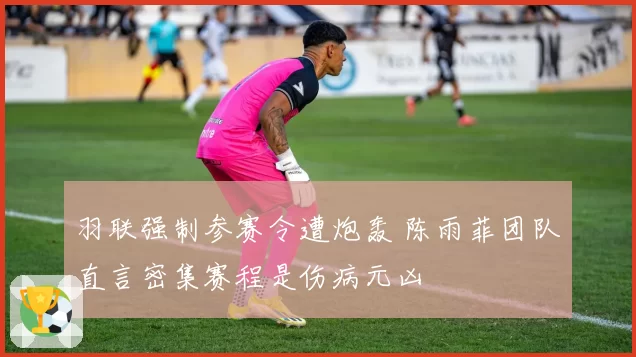 羽联强制参赛令遭炮轰 陈雨菲团队直言密集赛程是伤病元凶